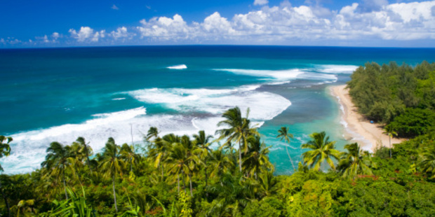 John Key chooses to take his family holidays in Hawaii. Photo / Thinkstock
