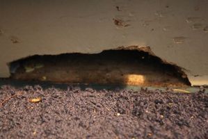 Rats have chewed through the skirting board of a Logan St home. Photo / Ben Fraser