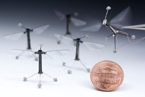 Harvard University has developed a robot insect based on the biology of a fly. Photo / Supplied