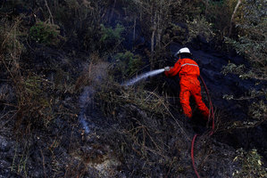 Five fire services have responded to the blaze, including two water tankers. Photo / Christine Cornege.