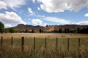 Looking over Craggy Range Winery towards Te Mata Peak from Tuki Tuki Road. Photo / APN