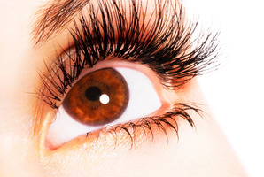 Photo / Thinkstock