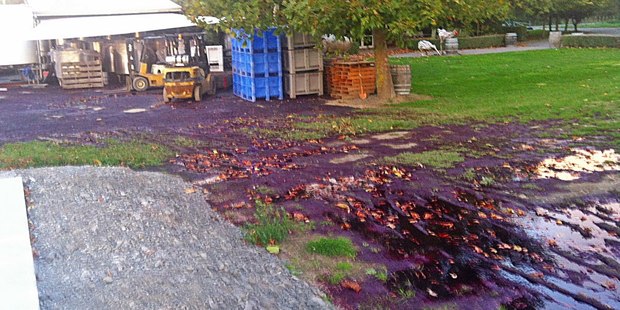 Vandals tipped out about $165,000 in premium Hawke's Bay merlot wine at the Moana Park winery. Photo / supplied