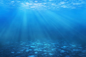 Photo / Thinkstock