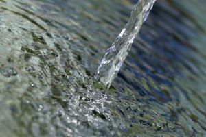 Photo / File / Thinkstock
