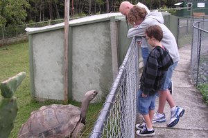 Children's initial fear of the park's skinks, lizards, geckos, tortoises - and alligators - is swiftly replaced by fascination. Photo / Supplied