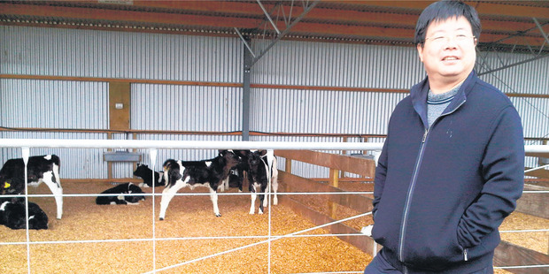 Shanghai Pengxin chairman Jiang Zhaobai at a Waikato dairy farm. Photo / Supplied