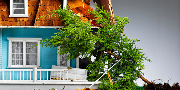 Falling trees are just one hazard that insurance policies may cover. Photo / Thinkstock
