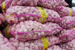 International arrest warrants have been issued for two British citizens suspected of masterminding the garlic smuggling racket. File photo / Getty Images