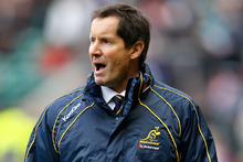 Wallabies coach Robbie Deans will have to reapply for his position when his contract runs out at the end of the year. Photo / Getty Images.