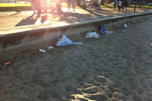 Stephen Shaw was appalled by the rubbish littering the length of the concrete wall and floating out towards Rangitoto Island. Photo / Supplied