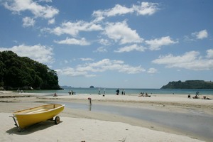 Cooks Beach in the Coromandel. Photo / File / Greg Bowker