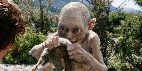 Gollum's special effects were a hit with fans on TheOneRing website.