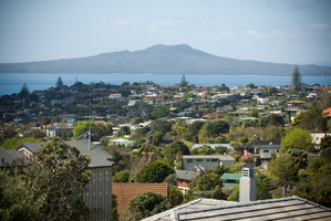 In Auckland's market, any savings are gold. Photo / Jason Dorday