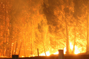Over a dozen fires burned out of control across Tasmania overnight. File photo / APN