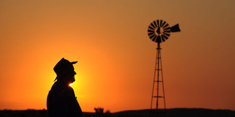 Fire crews battle outbreaks across the state as soaring temperatures raise the risk of more bush fires throughout New South Wales. Photo / Daily Telegraph