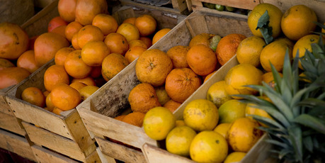 The man, now deceased, was unfairly dismissed by Turners and Growers for miscounting fruit and sleeping on the job.