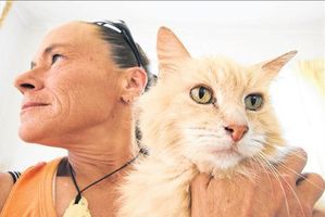 Tauranga pet parent Pam Andresen is upset Tauranga SPCA refused to take in an abandoned cat. Photo / George Novak