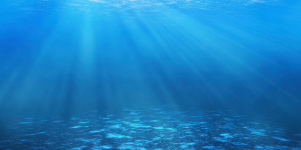 Photo / Thinkstock