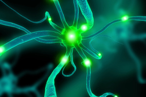 The brain does have plasticity - it can change - but you need great will and commitment. Photo / Thinkstock