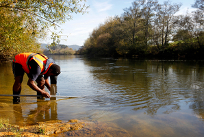 Waikato Regional Council water quality technical specialist Asaeli Tulagi takes water samples along the Waikato River. Photo / Christine Cornege