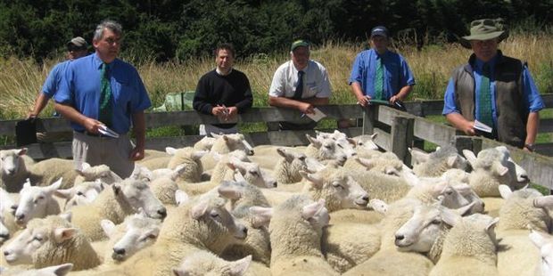 PGGWrightson expects to take a hit from dry conditions and lower livestock values. Photo / Oamaru Mail