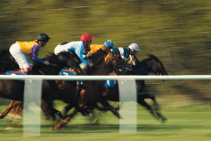 Photo / Thinkstock