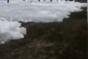 The ice sheet was up to nine metres high at some places when it crashed into homes at Ochre Beach. Photo / Supplied