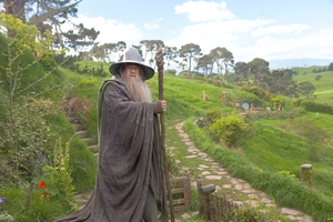 An Immigration spokeswoman said they would consult unions and Work and Income before making a decision on Weta's application.