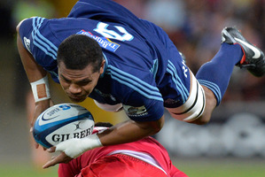 Blues No8 Peter Saili has shown steady progress. Photo / Getty Images
