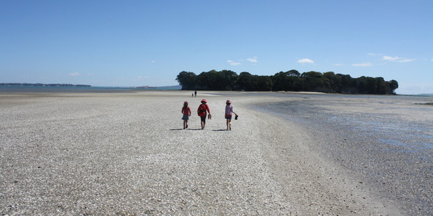 A sandbar provides access to a former pa site off Beachlands. Photo / Stephanie Chamberlin