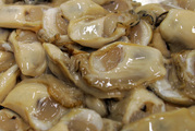 New DNA test can detect Bluff oyster-killing infection