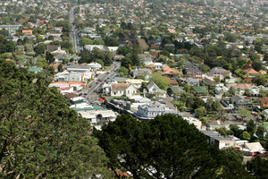 To avoid Auckland sprawling like Los Angeles, we need to allow for more growth within and outside the urban area. Photo / Janna Dixon