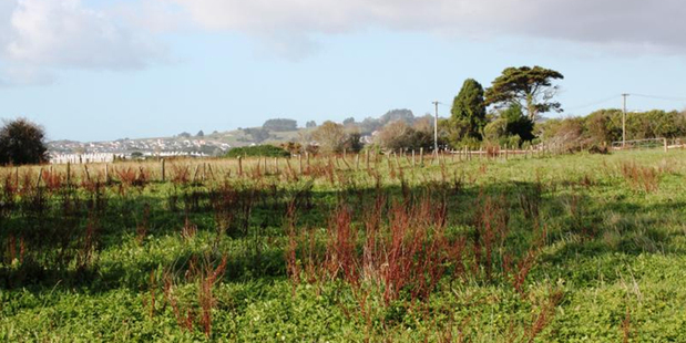 The 29ha of vacant land at 39 Flat Bush School Rd is close to Barry Curtis Park.