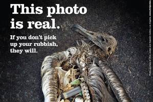 This image is enough to make some individuals change their behaviour. Photo / Supplied