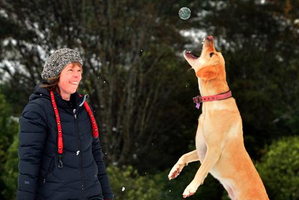 University of Otago School of Physiotherapy associate dean Dr Cath Smith walking her dog Ellie. Photo / Peter McIntosh