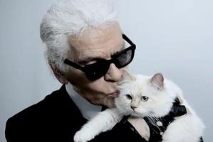 Karl Lagerfeld with his cat, Choupette. Photo / Facebook