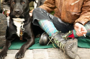 Dogs around smokers are more prone to cancer.Photo / Thinkstock