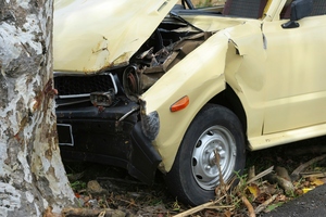 Photo / Thinkstock