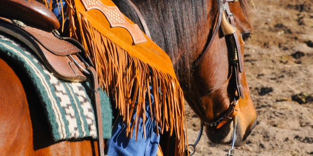 The Wild West comes to the Waikato at Fieldays, Mystery Creek, Hamilton. Photo / Liz Light