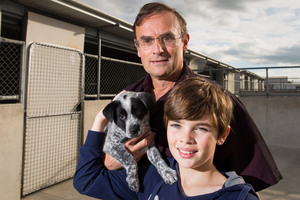 Ozzy the 8-week-old blue heeler-cross puppy has been renamed Frosty and is now with Stefan Becker, 11, and his dad Michael. Photo / Stephen Barker
