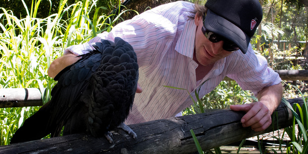 Meet the locals in the aviary at Adelaide's Botanic Garden. Photo / Sarah Ivey