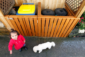 Glam up a non-hygienic utility space - and keep it safely away from the kids - with a bin cupboard. Photo / Michael Craig
