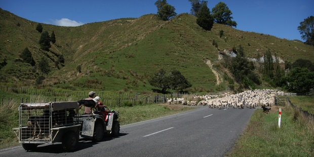 Taumarunui has more to offer than people think - although making a living through tourism is tough. Photo / Greg Bowker