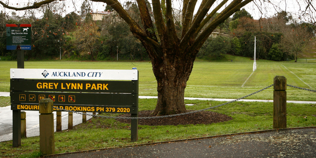 One anti-plan protest predicts a housing development on Grey Lynn's green patch. Photo / Sylvie Whinray