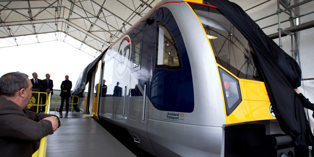 The council body says there are not enough passengers to justify the $6 million needed to upgrade. Photo / Sarah Ivey