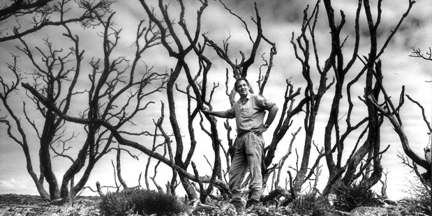 1990 picture of Jim Henry standing among Pohutukawa trees on Rangitoto Island. Photo / David White, NZ Herald. Picture Research / Emma Land