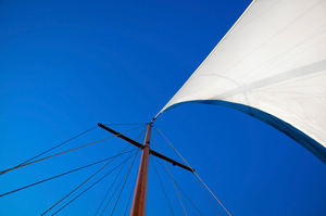 Photo / Thinkstock
