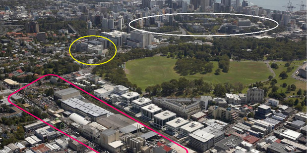 The University's three city campus sites: Newmarket (pink), Grafton (yellow) and City (white).
