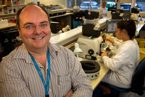 Dr Richard Massey says poor labelling can have devastating consequences for patients. Photo / Alan Gibson